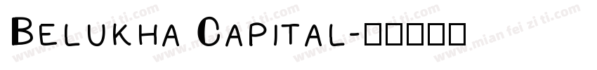 Belukha Capital字体转换